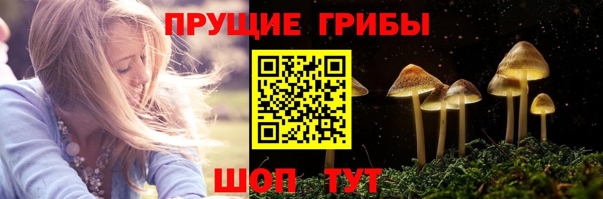 Галлюциногенные грибы Cubensis  Вход с VPN  Большой Камень  Галлюциногенные грибы Cubensis 