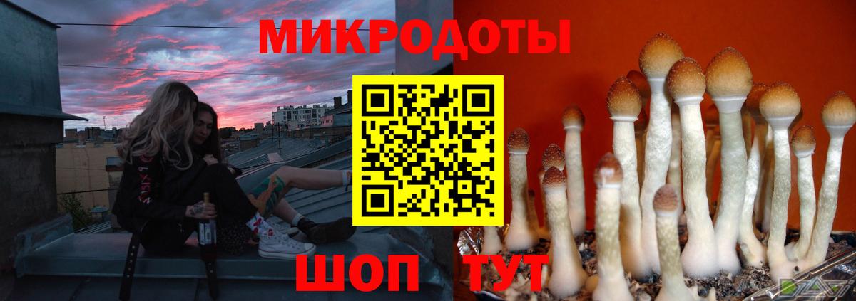 Галлюциногенные грибы прущие грибы Большой Камень